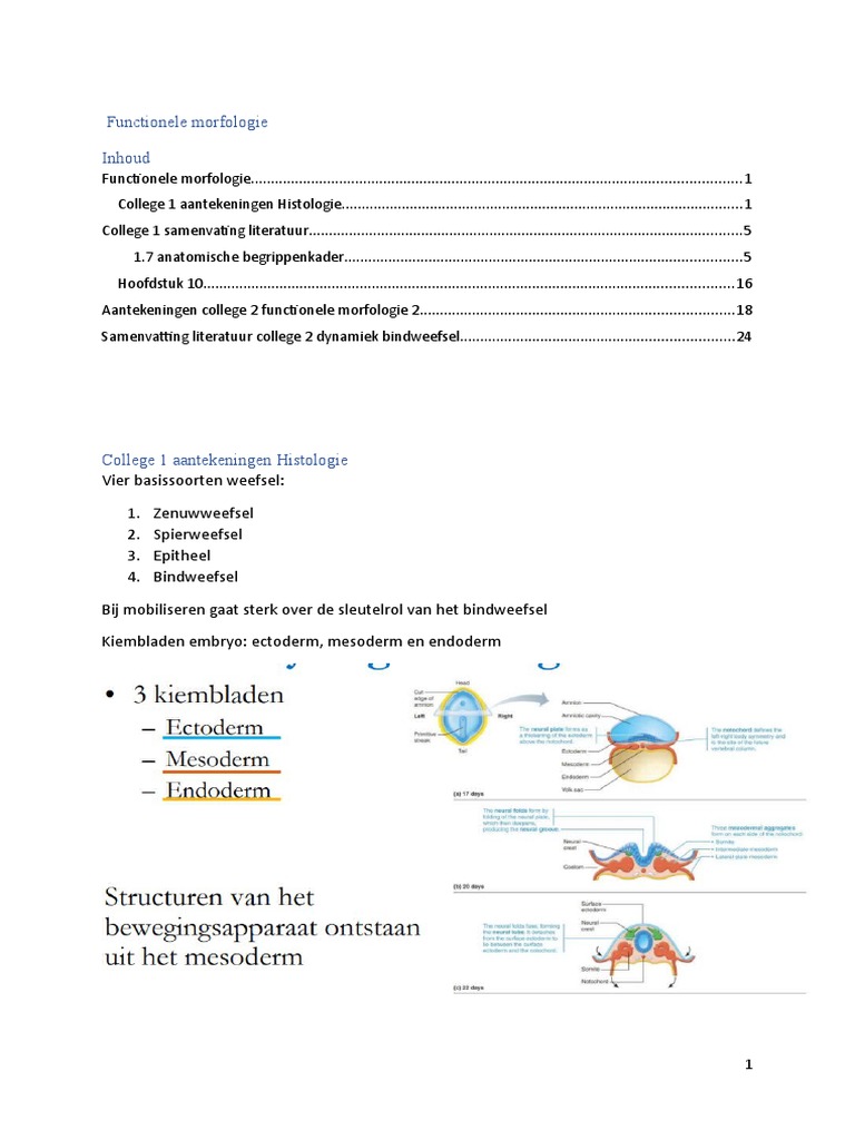 Hoe het activeren van je voeten en handen verbetert yoga poses | Liforme, image size:768x1024