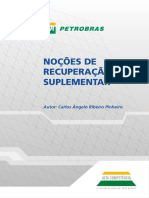 Noções de Recuperação Suplementar