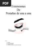Guía Práctica de Extensiones de Pestañas | PDF | Salud y bienestar