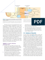 Oxidation of Fatty Acids