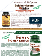 Flyer Fomes Fomentarius & Golden Viscum 3xbiotics