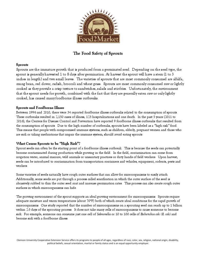 The Food Safety of Sprouts Factsheet PDF Foodborne Illness Seed