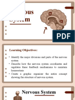 Nervous System POWERPOINT