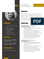 CV Template 0017