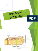 FISIOLOGiA - de - La - Neurona 2023