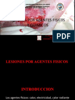 Lesiones Por Agentes Fisicos y Quimicos 2022