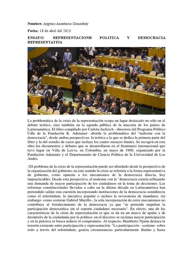 Representacion Politica En La Democracia