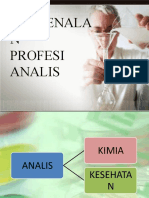 10 Profesi Analis