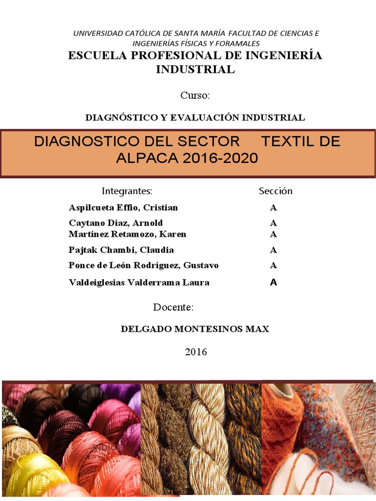 SECTOR TEXTIL DE ALPACA DIAGNOSTICO FASE 3 Final | PDF | Industria ...