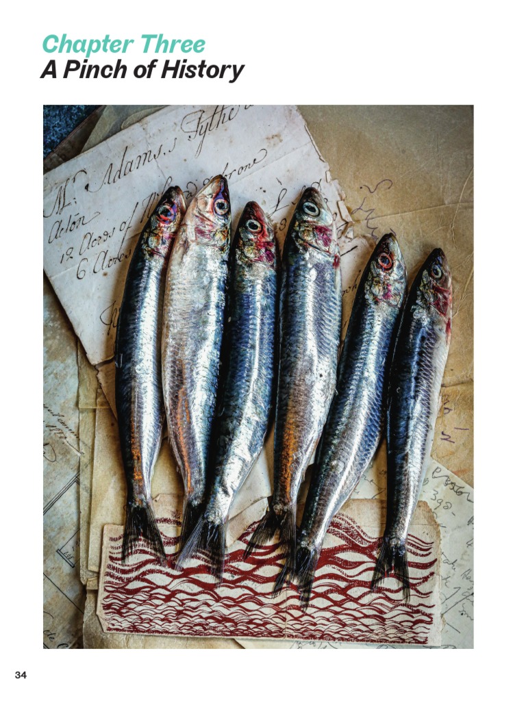 Salt and The Art of Seasoning Chapter 3 A Pinch of History PDF