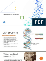 8.2 DNA Sturcture HRW