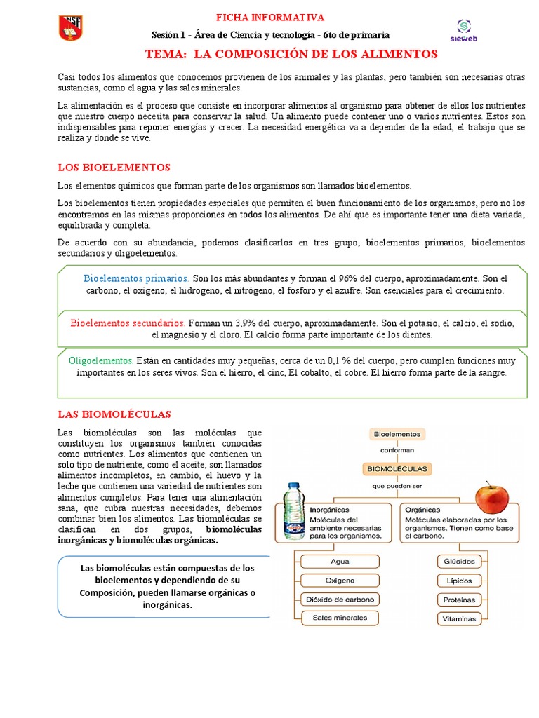 FICHA INFORMATIVA - La Composicion de Los Alimentos - Sesion 1 - C y T ...