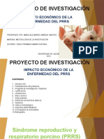 Presentacion Proyecto de Investigacion Prrs