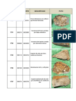 Descripcion de Muestras - Bonasort