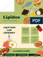 Lípidos: principales componentes, clasificación y funciones