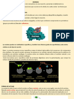 Tema 8 Acidos Nucleicos