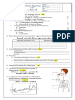 Evaluation Diagnostique 3