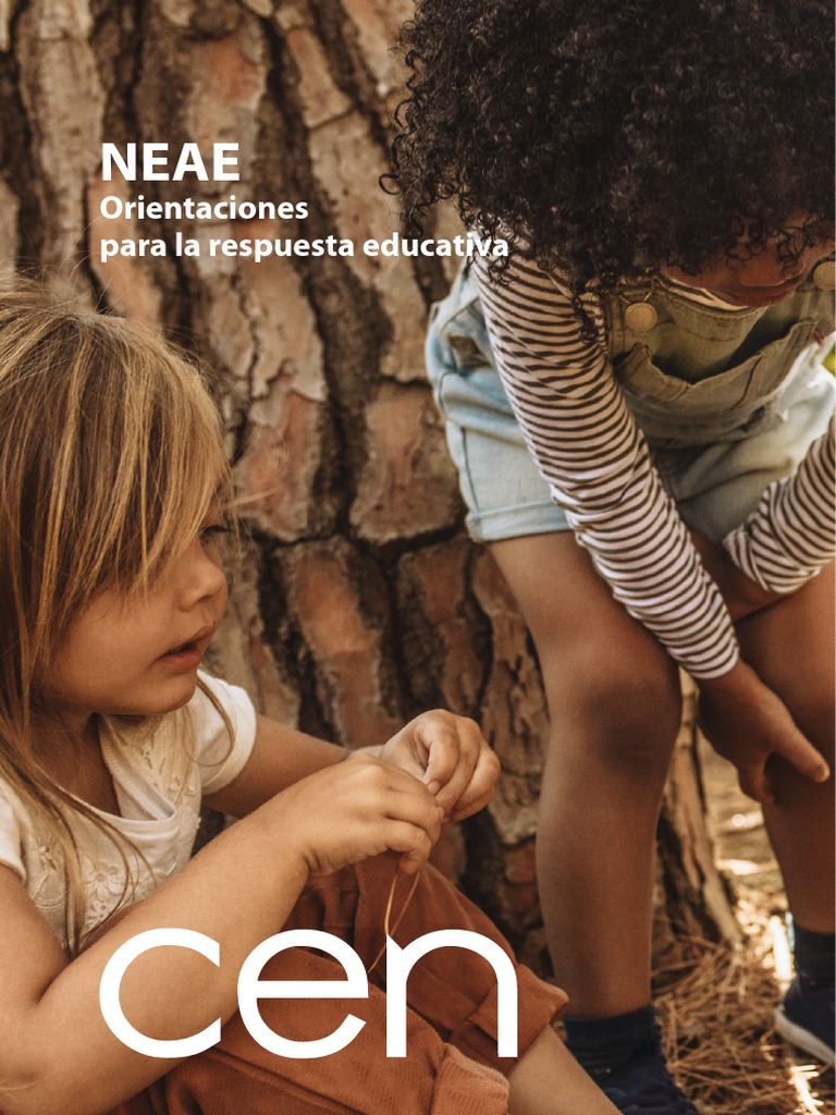 Guía para Docentes sobre NEAE | PDF | Aprendizaje | Discapacidad ...