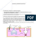 Guía Contenidos y Actividad Formativa Fase 7 2