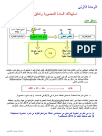 1 1 Tahrir Attaqa