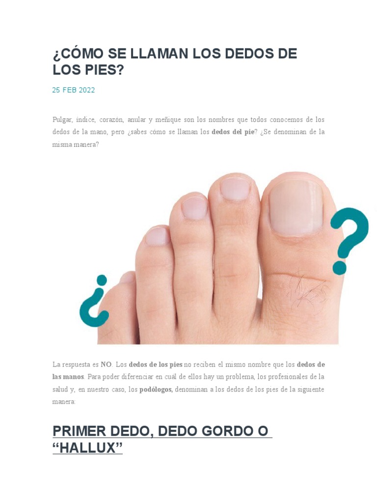 Cómo Se Llaman Los Dedos de Los Pies PDF