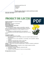 Proiect de Lectie Lb. Rom. Numeralul