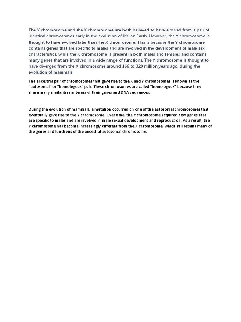 Evolution of X and Y Chromosomes | PDF