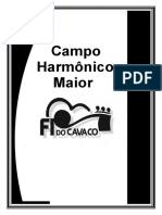 Campos Hamônicos MAIOR-1