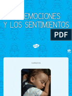 Las Emociones y Los Sentimientos Presentación