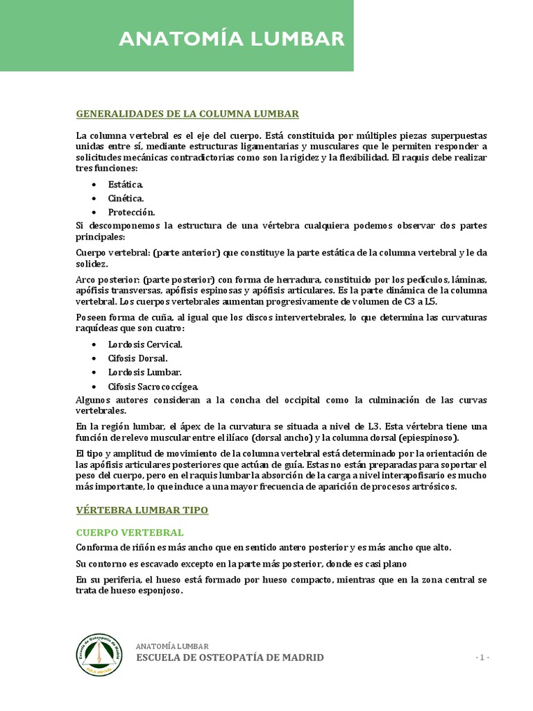 Anatomía de la Columna Lumbar | PDF | La columna vertebral | Vértebra