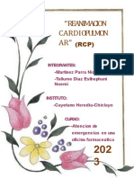 Reanimacion Cardiopulmon AR