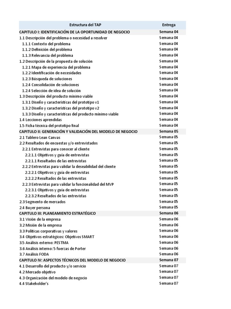 Estructura del Modelo TAP | PDF | Modelo de negocio | Marketing