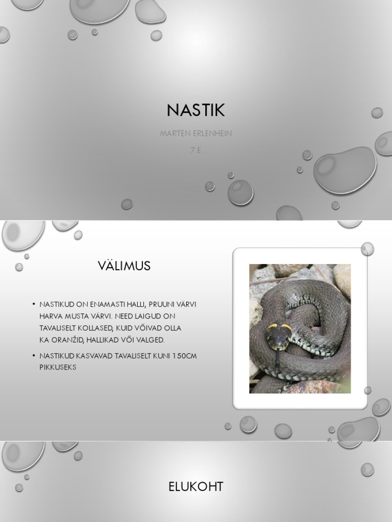 Nastik | PDF