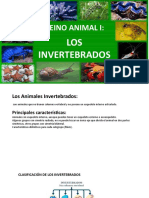 Los Invertebrados