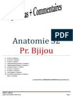 1 - Anatomie S2 Prof Bjijou 2