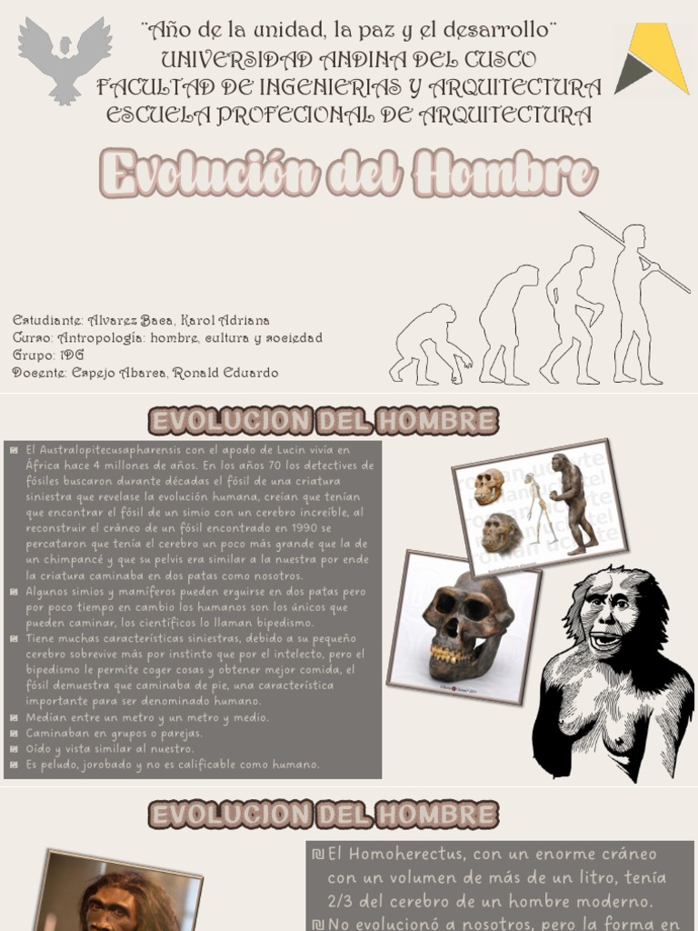 Etapas de la Evolución del Hombre | PDF | Evolución humana | Homo Sapiens