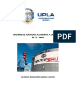 Informe de Auditoria Ambiental A La Empresa Petro Peru