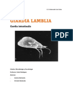Giardia Lamblia: Ciclo de Vida, Epidemiología y Diagnóstico