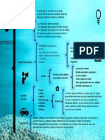 Cuadro Sinoptico Innovacion