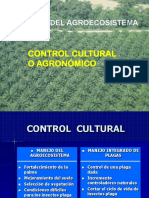 11 - Control Cultural