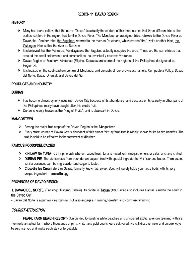 region-xi-pdf-cuisine-food-and-drink