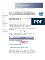 Magnetismo. Fuerza de Lorentz