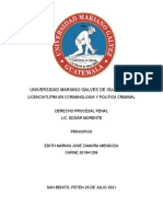 Tarea, Investigación de Principios Constitucionales y Procesales.