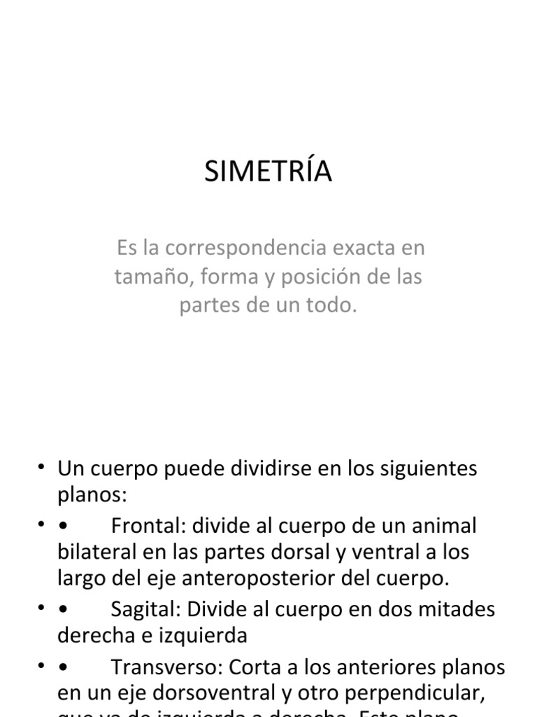 Power Simetria | PDF | Simetría | Anatomía