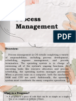 Process Management Report