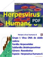 H2. - Herpesvirus678 - 2021