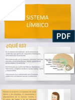 Sistema Limbico