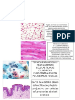 Cortes Histologías