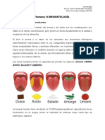 Bromatología de Los Sabores y Olores