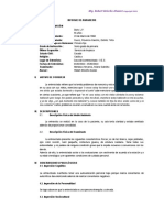 Informe de Anamnesis